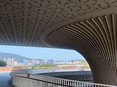 -福州海峡文化艺术中心