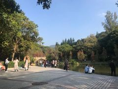 -云溪植物园