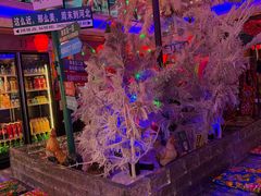 -山河屯铁锅炖鲜鹅·东北菜(开发区一店)