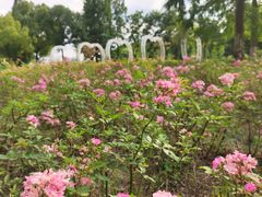 -昆山城市生态森林公园