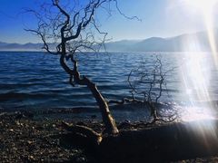 -大理洱海