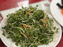 -青岛锅贴(洛阳路分店)