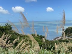 -温岭石塘海边