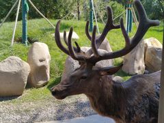 -北京野生动物园