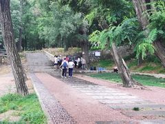 -阳台山自然风景区