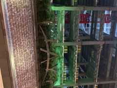 -上海外滩茂悦大酒店