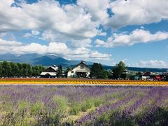 -富田农场