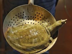 -元银甲·湖北地标美食(汉阳店)