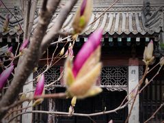 -西安化觉巷清真大寺