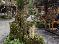 -青城甲(青城山店)