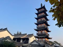 -秋霞圃