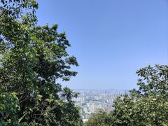 -南山植物园