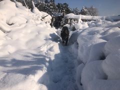 -东莞宠友24H宠物中心医院·转诊夜诊·异宠(新河北路院)