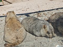 -哈尔滨北方森林动物园