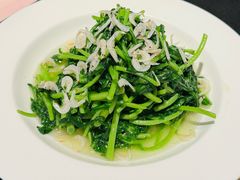 虾皮茼蒿-醉东Oriental House(静安嘉里中心店)