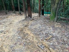 -火炉山森林公园