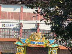 -西双版纳原始森林公园