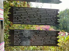 -西双版纳基诺山寨