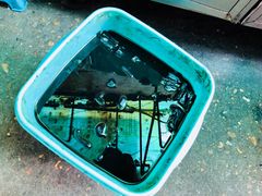 -五娭毑臭豆腐(黄兴南路店)