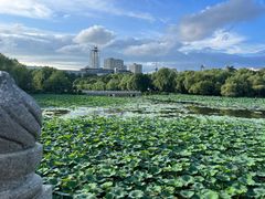 -长春市南湖公园