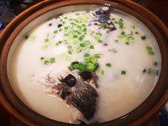 -姜君·千岛湖鱼头馆(浦东大道店)