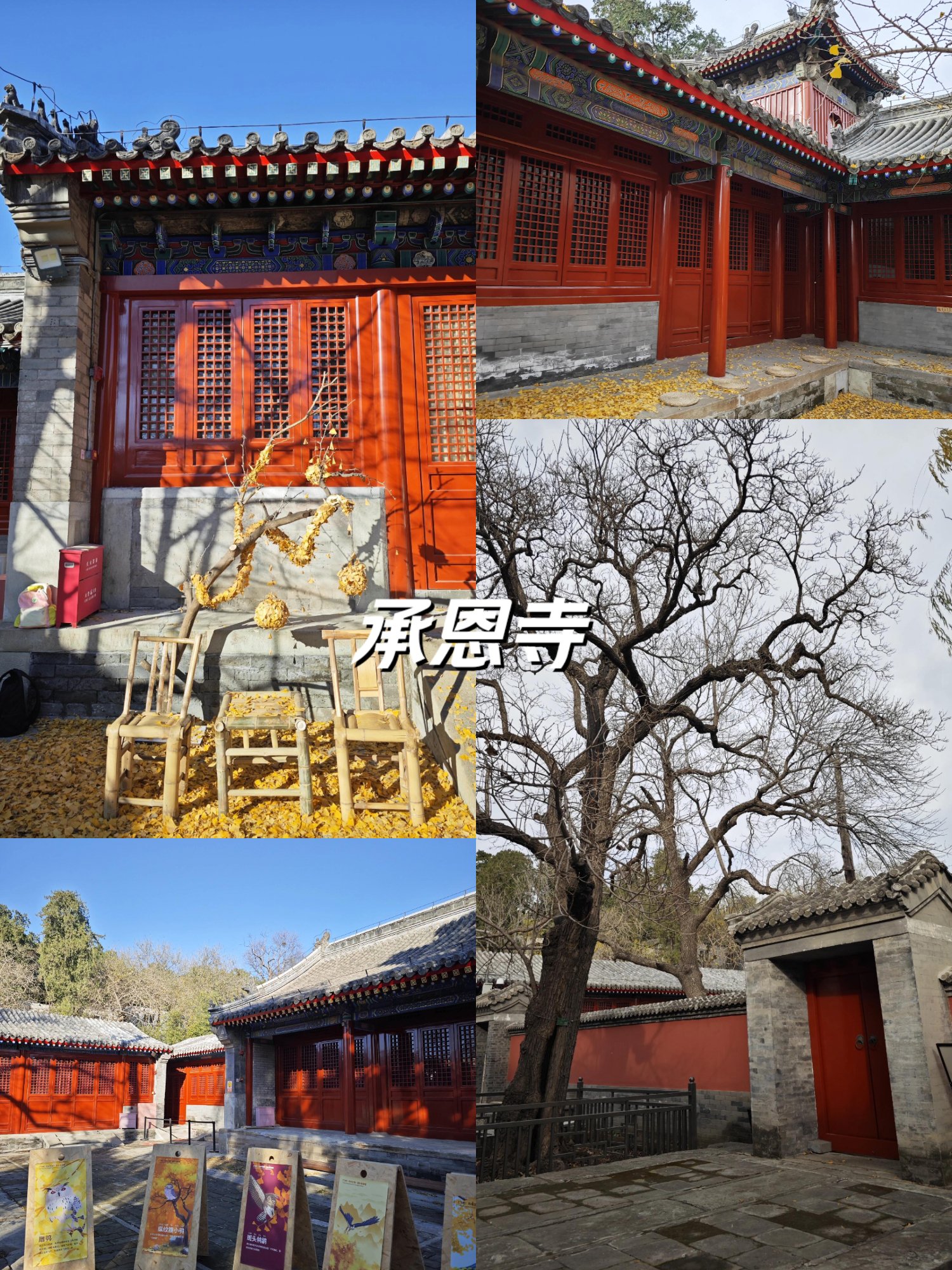 承恩寺燕京八绝艺术馆图片