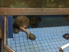 -侠成水上农庄(工业大道店)