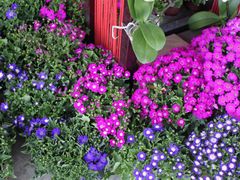 -白沙门生态公园