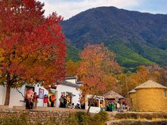 -塔川景区