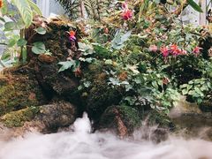 -上海辰山植物园