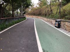 -飞凤山奥体公园