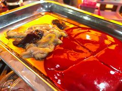 -友口福(大良店)