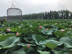 -御江山炭火自助烤肉