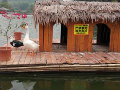 -观澜山水田园