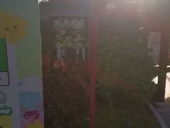 -《神游传奇》秀