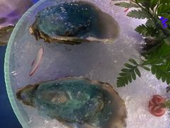 -千岛蚝高压锅生蚝·人参火锅(白云万达店)