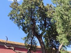 -北京市劳动人民文化宫(太庙)