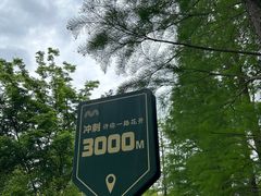 -昆山城市生态森林公园