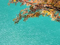 -叠溪松坪沟景区