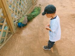 -萌宠亲子动物乐园(槐房万达店)