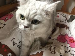 -合肥野生动物园