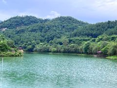 -广州白江湖森林公园