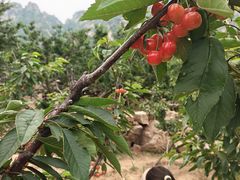 -大泽山风景名胜区