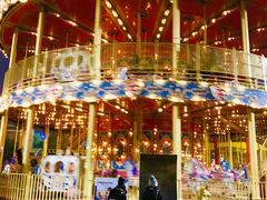 -锦江乐园舞狸花花游园会(夜场专享)