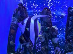 -太平洋海底世界