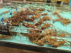 -九號渔港·蒸汽海鲜·粤菜茶点(八卦岭店)