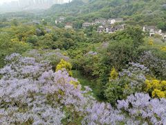 -张坝桂圆林公园