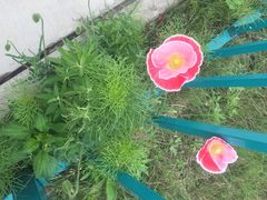 -北戴河圣蓝海洋公园