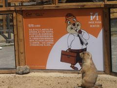 -祥源·阜阳生态乐园