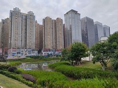 -花果园湿地公园